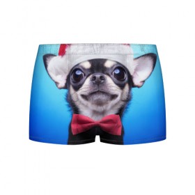 Мужские трусы 3D с принтом рождество в Тюмени, 50% хлопок, 50% полиэстер | классическая посадка, на поясе мягкая тканевая резинка | Тематика изображения на принте: dog | happy new year | бантик | взгляд | глаза | новый год | пинчер | праздник | санта клаус | собака | той терьер