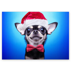 Поздравительная открытка с принтом рождество в Тюмени, 100% бумага | плотность бумаги 280 г/м2, матовая, на обратной стороне линовка и место для марки
 | Тематика изображения на принте: dog | happy new year | бантик | взгляд | глаза | новый год | пинчер | праздник | санта клаус | собака | той терьер