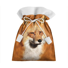 Подарочный 3D мешок с принтом Лисичка в Тюмени, 100% полиэстер | Размер: 29*39 см | животные | зверь | лиса | лисичка | природа | рыжая | фыр
