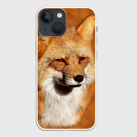 Чехол для iPhone 13 mini с принтом Лисичка в Тюмени,  |  | животные | зверь | лиса | лисичка | природа | рыжая | фыр
