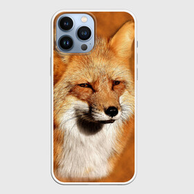 Чехол для iPhone 13 Pro Max с принтом Лисичка в Тюмени,  |  | животные | зверь | лиса | лисичка | природа | рыжая | фыр