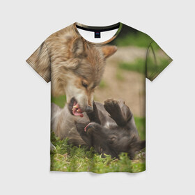 Женская футболка 3D с принтом Волки в Тюмени, 100% полиэфир ( синтетическое хлопкоподобное полотно) | прямой крой, круглый вырез горловины, длина до линии бедер | волк | волки | животные | злость | оскал | рык | собака | хищник
