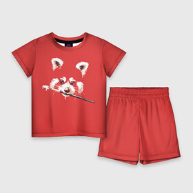 Детский костюм с шортами 3D с принтом Красная панда в Тюмени,  |  | Тематика изображения на принте: енот | кисть | лиса | малая панда | художник
