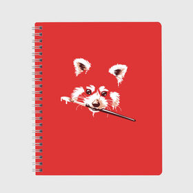 Тетрадь с принтом Красная панда в Тюмени, 100% бумага | 48 листов, плотность листов — 60 г/м2, плотность картонной обложки — 250 г/м2. Листы скреплены сбоку удобной пружинной спиралью. Уголки страниц и обложки скругленные. Цвет линий — светло-серый
 | енот | кисть | лиса | малая панда | художник
