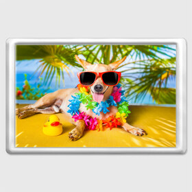Магнит 45*70 с принтом пляж в Тюмени, Пластик | Размер: 78*52 мм; Размер печати: 70*45 | Тематика изображения на принте: sea | гавайи | лето | море | океан | отдых | очки | пляж | собака | той терьер