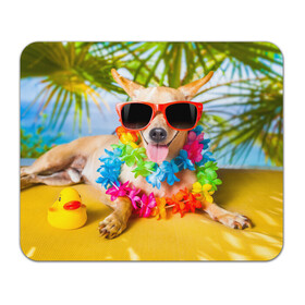 Коврик для мышки прямоугольный с принтом пляж в Тюмени, натуральный каучук | размер 230 х 185 мм; запечатка лицевой стороны | Тематика изображения на принте: sea | гавайи | лето | море | океан | отдых | очки | пляж | собака | той терьер