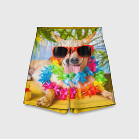 Детские спортивные шорты 3D с принтом пляж в Тюмени,  100% полиэстер
 | пояс оформлен широкой мягкой резинкой, ткань тянется
 | Тематика изображения на принте: sea | гавайи | лето | море | океан | отдых | очки | пляж | собака | той терьер