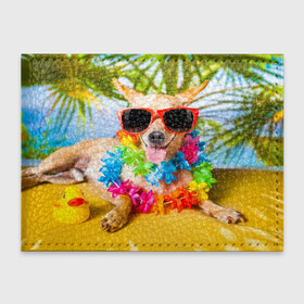 Обложка для студенческого билета с принтом пляж в Тюмени, натуральная кожа | Размер: 11*8 см; Печать на всей внешней стороне | Тематика изображения на принте: sea | гавайи | лето | море | океан | отдых | очки | пляж | собака | той терьер