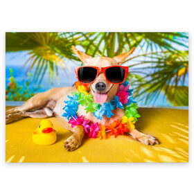 Поздравительная открытка с принтом пляж в Тюмени, 100% бумага | плотность бумаги 280 г/м2, матовая, на обратной стороне линовка и место для марки
 | Тематика изображения на принте: sea | гавайи | лето | море | океан | отдых | очки | пляж | собака | той терьер
