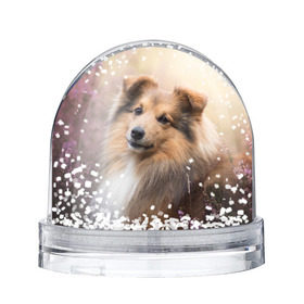 Снежный шар с принтом Шелти в Тюмени, Пластик | Изображение внутри шара печатается на глянцевой фотобумаге с двух сторон | dog | взгляд | колли | собака