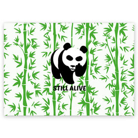Поздравительная открытка с принтом Still Alive в Тюмени, 100% бумага | плотность бумаги 280 г/м2, матовая, на обратной стороне линовка и место для марки
 | alive | bamboo | green | greenpeace | panga | peace | still | бамбук | грин | гринпис | живая | живой | зеленый | мир | панда | панды | пис