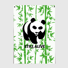 Постер с принтом Still Alive в Тюмени, 100% бумага
 | бумага, плотность 150 мг. Матовая, но за счет высокого коэффициента гладкости имеет небольшой блеск и дает на свету блики, но в отличии от глянцевой бумаги не покрыта лаком | alive | bamboo | green | greenpeace | panga | peace | still | бамбук | грин | гринпис | живая | живой | зеленый | мир | панда | панды | пис