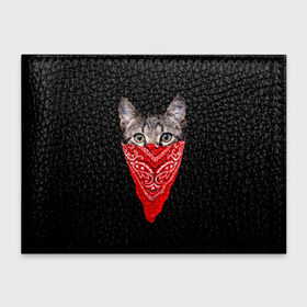 Обложка для студенческого билета с принтом Gangsta Cat в Тюмени, натуральная кожа | Размер: 11*8 см; Печать на всей внешней стороне | Тематика изображения на принте: cat | cats | gangsta | kitten | kitty | pussy | гангстер | кот | котенок | котик | котики | коты | котята | кошка | кошки | платок