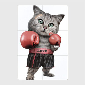 Магнитный плакат 2Х3 с принтом Кот боксёр в Тюмени, Полимерный материал с магнитным слоем | 6 деталей размером 9*9 см | Тематика изображения на принте: боец | бокс | боксёр | кот | котёнок | кошак | кошка | кулак | спорт | шорты