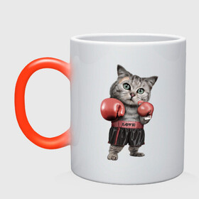 Кружка хамелеон с принтом Кот боксёр в Тюмени, керамика | меняет цвет при нагревании, емкость 330 мл | боец | бокс | боксёр | кот | котёнок | кошак | кошка | кулак | спорт | шорты