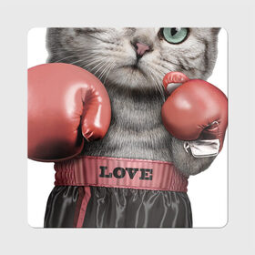 Магнит виниловый Квадрат с принтом Кот боксёр в Тюмени, полимерный материал с магнитным слоем | размер 9*9 см, закругленные углы | боец | бокс | боксёр | кот | котёнок | кошак | кошка | кулак | спорт | шорты