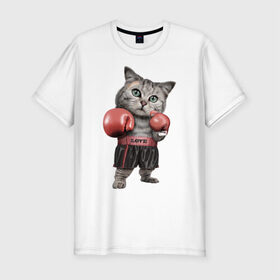 Мужская футболка премиум с принтом Кот боксёр в Тюмени, 92% хлопок, 8% лайкра | приталенный силуэт, круглый вырез ворота, длина до линии бедра, короткий рукав | боец | бокс | боксёр | кот | котёнок | кошак | кошка | кулак | спорт | шорты