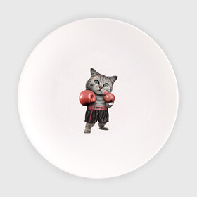 Тарелка с принтом Кот боксёр в Тюмени, фарфор | диаметр - 210 мм
диаметр для нанесения принта - 120 мм | боец | бокс | боксёр | кот | котёнок | кошак | кошка | кулак | спорт | шорты