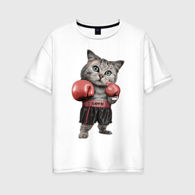 Женская футболка хлопок Oversize с принтом Кот боксёр в Тюмени, 100% хлопок | свободный крой, круглый ворот, спущенный рукав, длина до линии бедер
 | боец | бокс | боксёр | кот | котёнок | кошак | кошка | кулак | спорт | шорты
