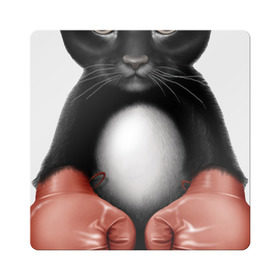 Магнит виниловый Квадрат с принтом Котёнок боксёр в Тюмени, полимерный материал с магнитным слоем | размер 9*9 см, закругленные углы | боец | бокс | боксёр | кот | котёнок | кошак | кошка | кулак | спорт | шорты