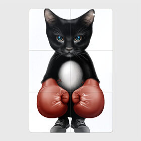 Магнитный плакат 2Х3 с принтом Котёнок боксёр в Тюмени, Полимерный материал с магнитным слоем | 6 деталей размером 9*9 см | Тематика изображения на принте: боец | бокс | боксёр | кот | котёнок | кошак | кошка | кулак | спорт | шорты