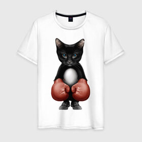 Мужская футболка хлопок с принтом Котёнок боксёр в Тюмени, 100% хлопок | прямой крой, круглый вырез горловины, длина до линии бедер, слегка спущенное плечо. | боец | бокс | боксёр | кот | котёнок | кошак | кошка | кулак | спорт | шорты