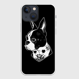Чехол для iPhone 13 mini с принтом Французский Бульдог в Тюмени,  |  | bulldog | dog | dogs | franch | бульдог | пес | псы | собака | собакен | собаки | собачка | собачки | французский | щенки | щенок | щеночек | щеночки
