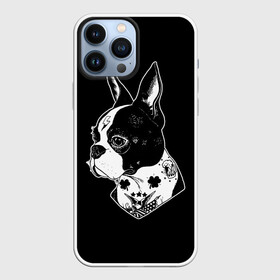 Чехол для iPhone 13 Pro Max с принтом Французский Бульдог в Тюмени,  |  | Тематика изображения на принте: bulldog | dog | dogs | franch | бульдог | пес | псы | собака | собакен | собаки | собачка | собачки | французский | щенки | щенок | щеночек | щеночки