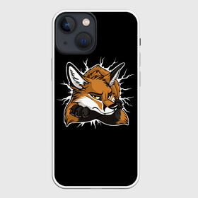 Чехол для iPhone 13 mini с принтом Лис Уверен в Себе в Тюмени,  |  | cute | fox | foxes | ginger | tail | забавная | лис | лиса | лисица | лисицы | лисичка | лисички | лисы | милая | рыжая | рыжие | смешная | фыр | хвост | хвосты