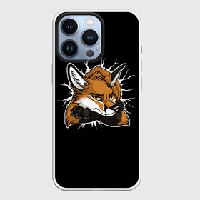 Чехол для iPhone 13 Pro с принтом Лис Уверен в Себе в Тюмени,  |  | cute | fox | foxes | ginger | tail | забавная | лис | лиса | лисица | лисицы | лисичка | лисички | лисы | милая | рыжая | рыжие | смешная | фыр | хвост | хвосты