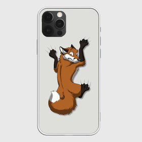 Чехол для iPhone 12 Pro Max с принтом Лис Вцепился в Тюмени, Силикон |  | Тематика изображения на принте: cute | fox | foxes | ginger | tail | вцепился | забавная | капаркается | лис | лиса | лисица | лисицы | лисичка | лисички | лисы | милая | рыжая | рыжие | смешная | фыр | хвост | хвосты