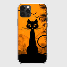 Чехол для iPhone 12 Pro Max с принтом Halloween в Тюмени, Силикон |  | аниме | ведьма | девушка | зомби | ирландия | кладбище | колдун | кости | кошки | летучие | луна | мертвец | мёртвые | монстры | мыши | ночь | оборотни | пауки | паутина | подарок | праздник | свет | свечи