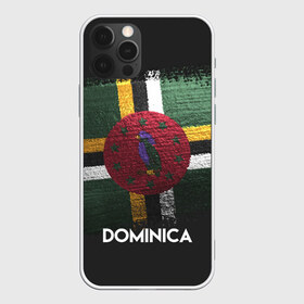 Чехол для iPhone 12 Pro Max с принтом DOMINICA(Доминика) в Тюмени, Силикон |  | dominica | urban | город | доминика | мир | путешествие | символика | страны | флаг