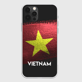 Чехол для iPhone 12 Pro с принтом VIETNAM(Вьетнам) в Тюмени, силикон | область печати: задняя сторона чехла, без боковых панелей | Тематика изображения на принте: urban | vietnam | город | мир | путешествие | символика | страны | флаг