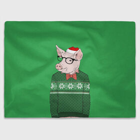 Плед 3D с принтом New Year Hipster Pig в Тюмени, 100% полиэстер | закругленные углы, все края обработаны. Ткань не мнется и не растягивается | 2019 | merry christmas | new year | год свиньи | зима | новый год | поросенок | праздник | рождество | свинка | свинья
