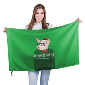 Флаг 3D с принтом New Year Hipster Pig в Тюмени, 100% полиэстер | плотность ткани — 95 г/м2, размер — 67 х 109 см. Принт наносится с одной стороны | 2019 | merry christmas | new year | год свиньи | зима | новый год | поросенок | праздник | рождество | свинка | свинья