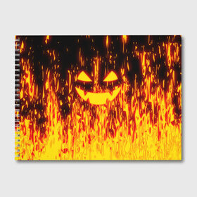 Альбом для рисования с принтом FIRE PUMPKIN в Тюмени, 100% бумага
 | матовая бумага, плотность 200 мг. | Тематика изображения на принте: fire | halloween | искры | огонь | праздник | тыква | хэллоуин