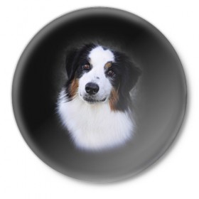 Значок с принтом Собака в Тюмени,  металл | круглая форма, металлическая застежка в виде булавки | Тематика изображения на принте: голова | животные | мордочка | пес | природа | собака | щенок