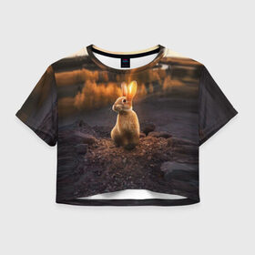 Женская футболка Cropp-top с принтом Солнечный зайчик в Тюмени, 100% полиэстер | круглая горловина, длина футболки до линии талии, рукава с отворотами | заяц | кролик | лес | пейзаж | поле | природа | пушистый | солнце | уши