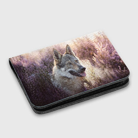 Картхолдер с принтом с принтом Волк в Тюмени, натуральная матовая кожа | размер 7,3 х 10 см; кардхолдер имеет 4 кармана для карт; | dog | взгляд | волк | лайка | собака | хаски