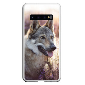 Чехол для Samsung Galaxy S10 с принтом Волк в Тюмени, Силикон | Область печати: задняя сторона чехла, без боковых панелей | dog | взгляд | волк | лайка | собака | хаски