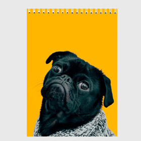 Скетчбук с принтом Бульдожка в Тюмени, 100% бумага
 | 48 листов, плотность листов — 100 г/м2, плотность картонной обложки — 250 г/м2. Листы скреплены сверху удобной пружинной спиралью | бульдог | паг | пес | собака | черный