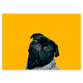 Поздравительная открытка с принтом Бульдожка в Тюмени, 100% бумага | плотность бумаги 280 г/м2, матовая, на обратной стороне линовка и место для марки
 | Тематика изображения на принте: бульдог | паг | пес | собака | черный