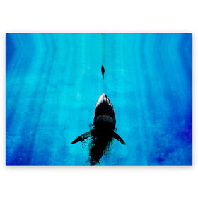 Поздравительная открытка с принтом Акула на охоте в Тюмени, 100% бумага | плотность бумаги 280 г/м2, матовая, на обратной стороне линовка и место для марки
 | акула | женщина | море | охота | рыба | хищник