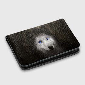 Картхолдер с принтом с принтом Голубоглазый волк в Тюмени, натуральная матовая кожа | размер 7,3 х 10 см; кардхолдер имеет 4 кармана для карт; | волк | глаза | охотник | серый | хищник