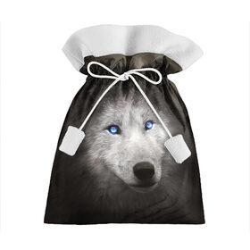 Подарочный 3D мешок с принтом Голубоглазый волк в Тюмени, 100% полиэстер | Размер: 29*39 см | волк | глаза | охотник | серый | хищник