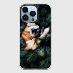 Чехол для iPhone 13 Pro с принтом Лисичка в Лесу в Тюмени,  |  | core | cute | forest | fox | foxes | ginger | world | деревья | забавная | зелень | кино | лес | лис | лиса | лисица | лисицы | лисичка | лисички | лист | листва | лисы | милая | мира | рыжая | рыжие | сердце | смешная | фильм | фыр