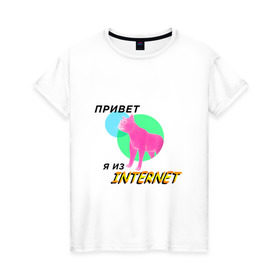 Женская футболка хлопок с принтом Привет я из internet в Тюмени, 100% хлопок | прямой крой, круглый вырез горловины, длина до линии бедер, слегка спущенное плечо | internet | интернет | кот | мем | мемы про котов | надпись | прикол