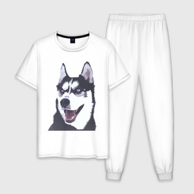 Мужская пижама хлопок с принтом Хаски в Тюмени, 100% хлопок | брюки и футболка прямого кроя, без карманов, на брюках мягкая резинка на поясе и по низу штанин
 | dog | haski | собака | собаки | хаски | хаски бандит