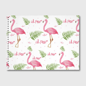 Альбом для рисования с принтом Lil Peep pink flamingo в Тюмени, 100% бумага
 | матовая бумага, плотность 200 мг. | benz truck | girls. pink | gustav hr | hip hop | lil | lil peep | peep | rap | лил | лилпип | листья | пальма | пальмы | пип | розовый | рэп | фламинго | хип хоп | эмо | эмо реп